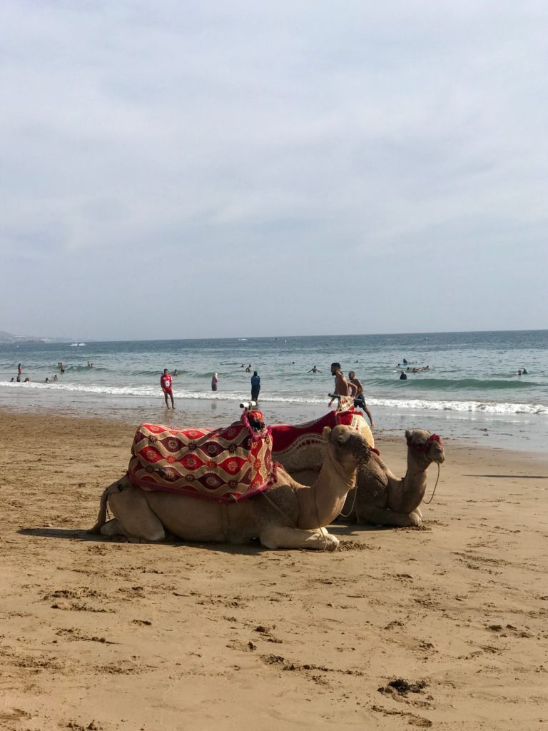 taghazout, morocco travel guide